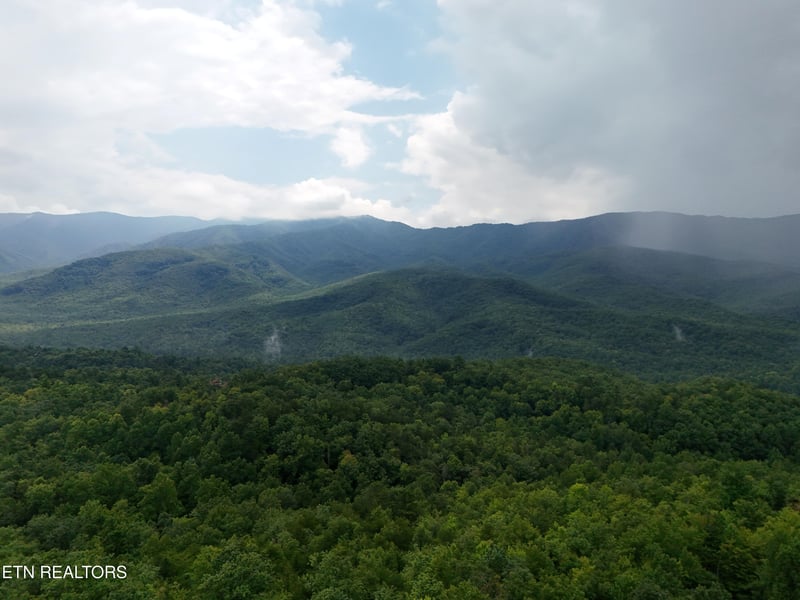 920 Black Gum Gap Rd, Gatlinburg, TN 37738