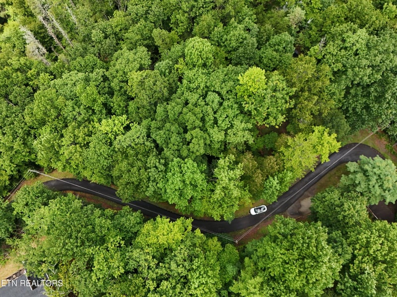 920 Black Gum Gap Rd, Gatlinburg, TN 37738