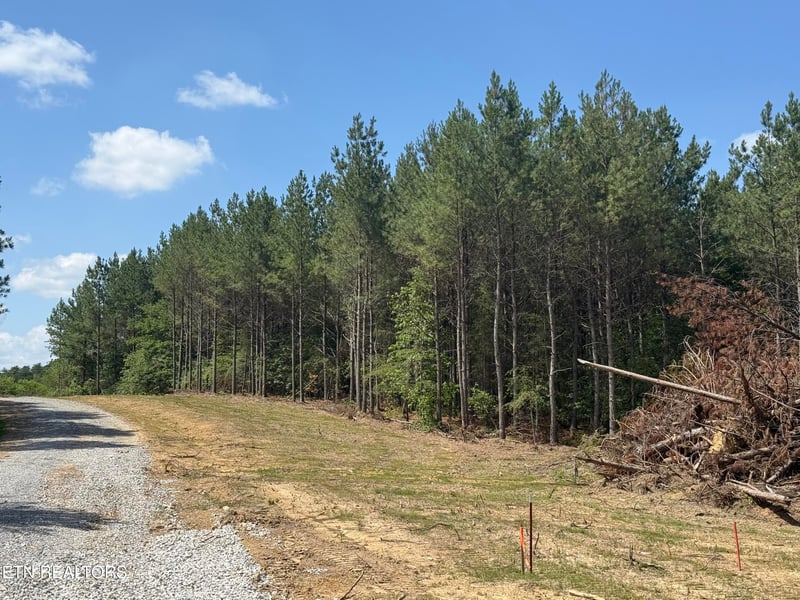 9217 Taylors Chapel Rd, Crossville, TN 38572