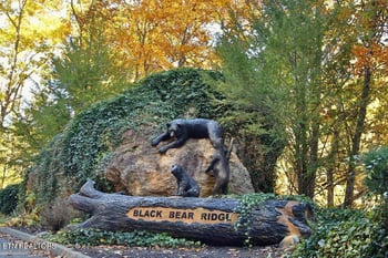 922 Black Bear Cub Way, Sevierville, TN 37862