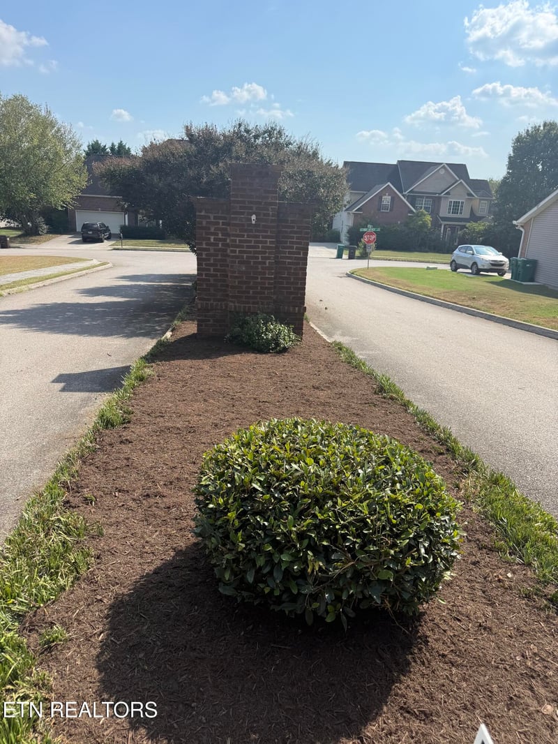 9243 Sway Branch Ln, Knoxville, TN 37922
