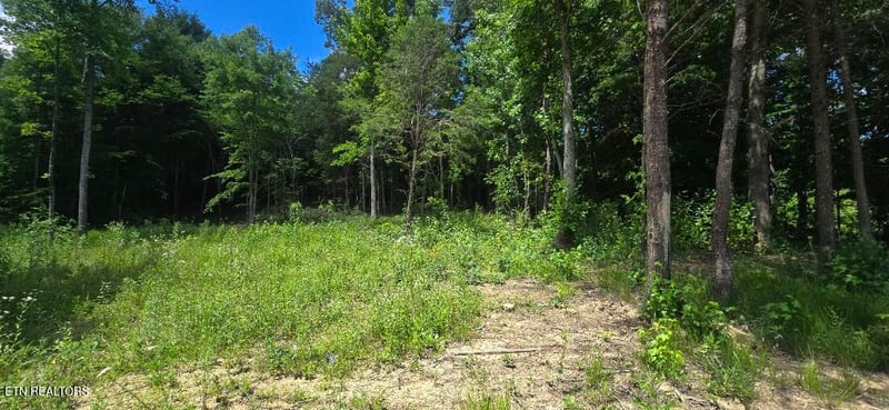 925 Anderson Hollow Rd, Huntsville, TN 37756