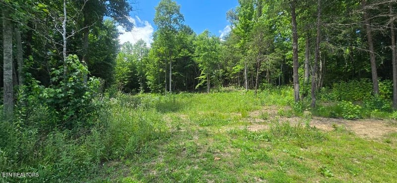 925 Anderson Hollow Rd, Huntsville, TN 37756