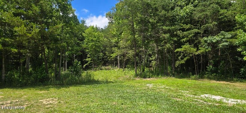 925 Anderson Hollow Rd, Huntsville, TN 37756
