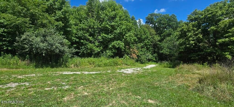 925 Anderson Hollow Rd, Huntsville, TN 37756