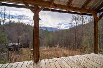 925 Newcombe Branch Way, Cosby, TN 37722