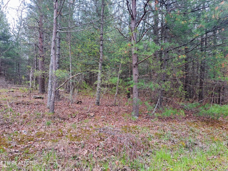 927 Paola Dr, Crossville, TN 38572