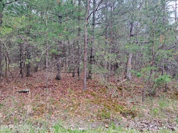 927 Paola Dr, Crossville, TN 38572