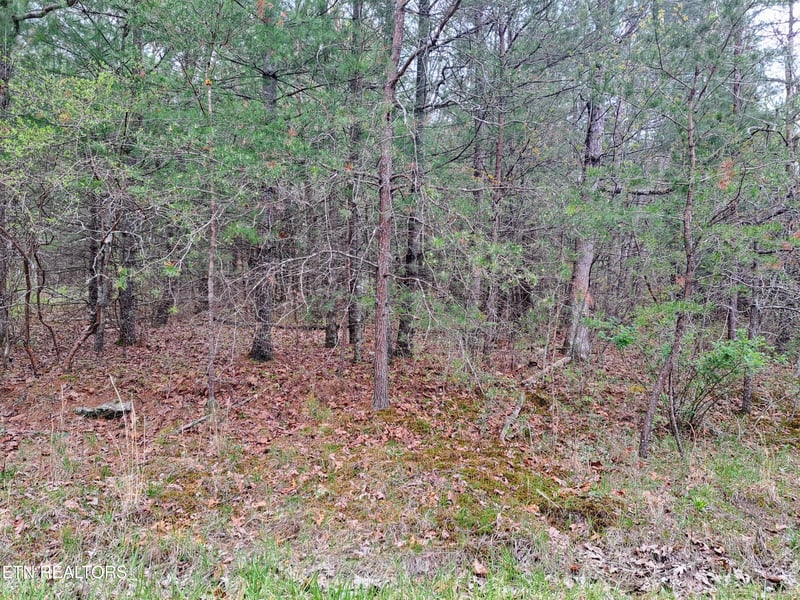 927 Paola Dr, Crossville, TN 38572