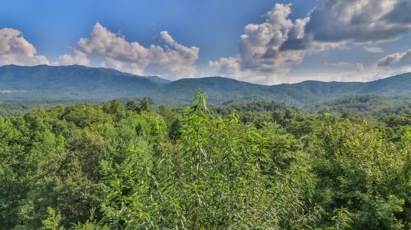 928 Laurel Rd, Townsend, TN 37882
