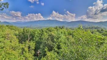 928 Laurel Rd, Townsend, TN 37882