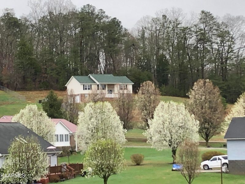 931 Harvest Dr, Seymour, TN 37865