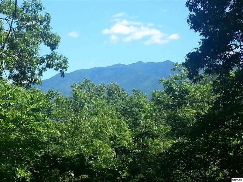 934 Cliff Branch Rd, Gatlinburg, TN 37738