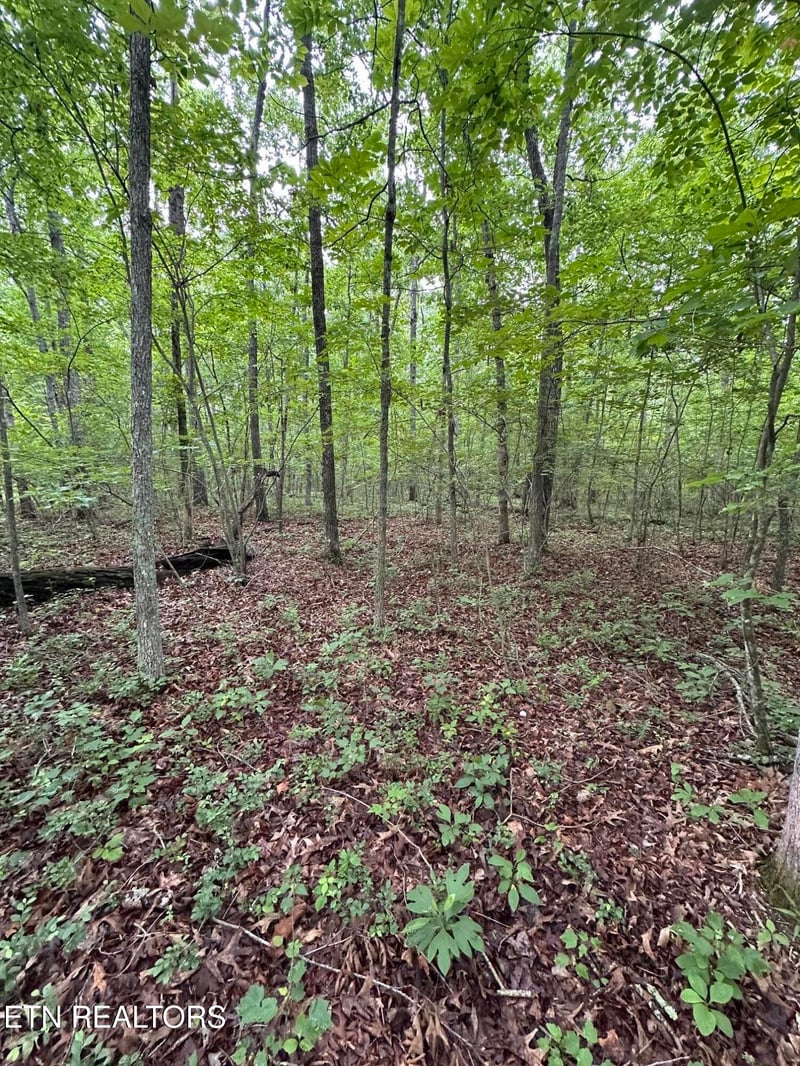 935 Veho Cir, Crossville, TN 38572