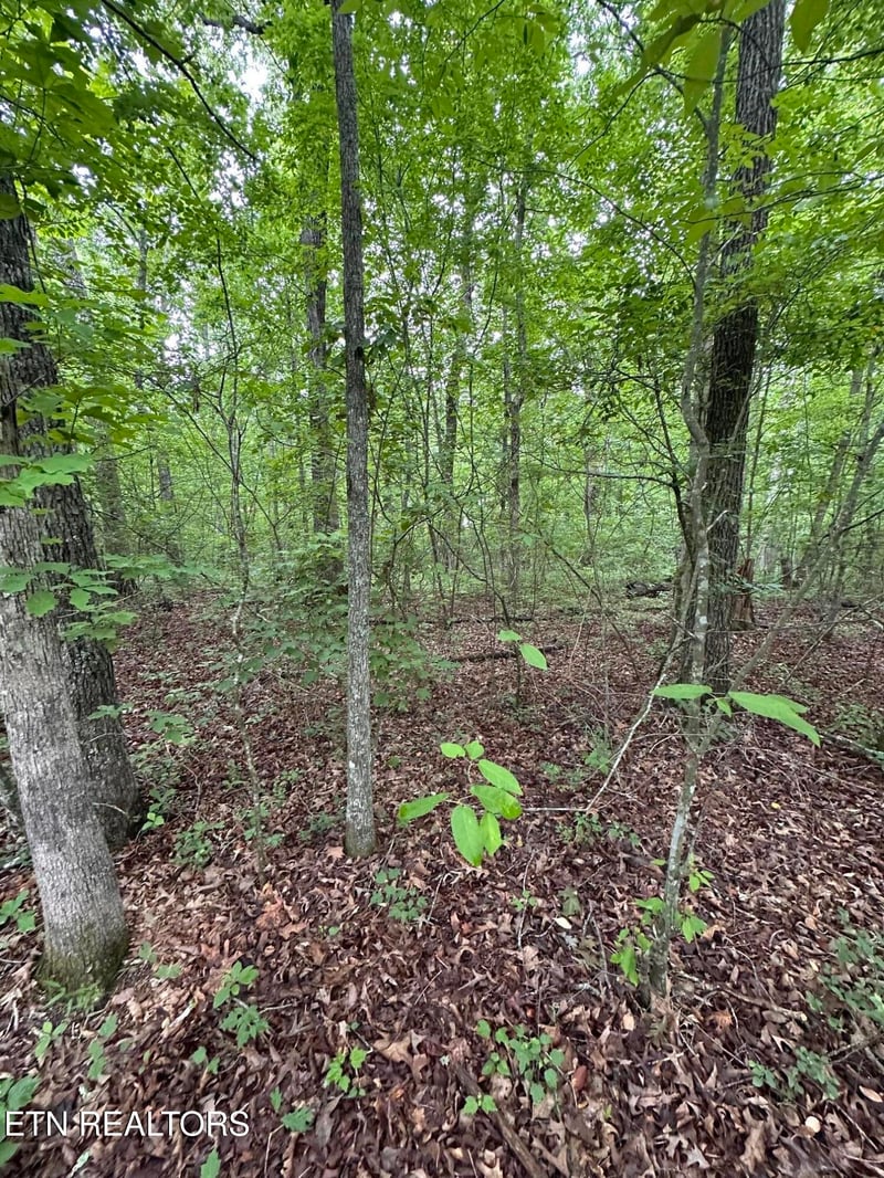 935 Veho Cir, Crossville, TN 38572
