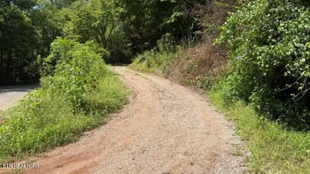 937 Misty Valley Rd, Friendsville, TN 37737