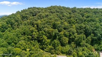 94 Swan Song Tr, Sharps Chapel, TN 37866