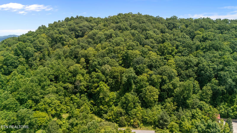 94 Swan Song Tr, Sharps Chapel, TN 37866