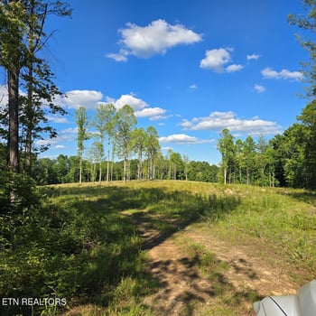 94.4 AC Red Hill Rd, Sunbright, TN 37872