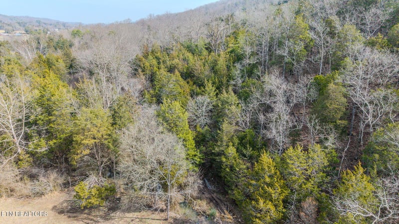 9406 Heiskell Rd, Heiskell, TN 37754