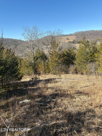 9406 Heiskell Rd, Heiskell, TN 37754