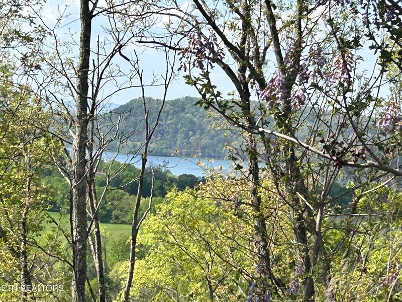 942 Eagles Nest, Loudon, TN 37774