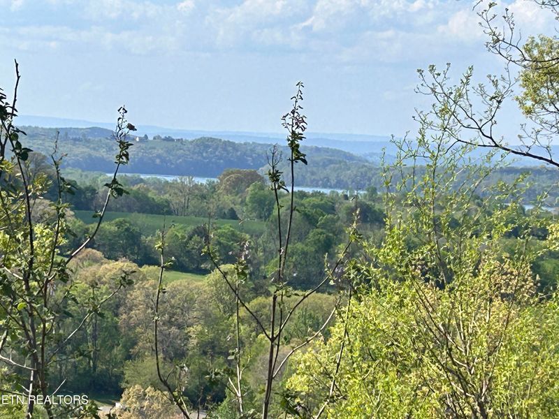 942 Eagles Nest, Loudon, TN 37774