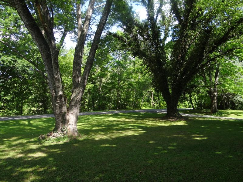 9423 Halls Gap Rd, Knoxville, TN 37938