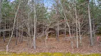 9438-0 Morgan County Hwy, Sunbright, TN 37872