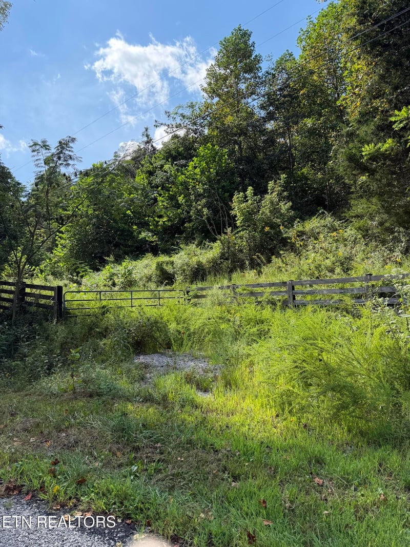 9478 Old Highway 28, Pikeville, TN 37367