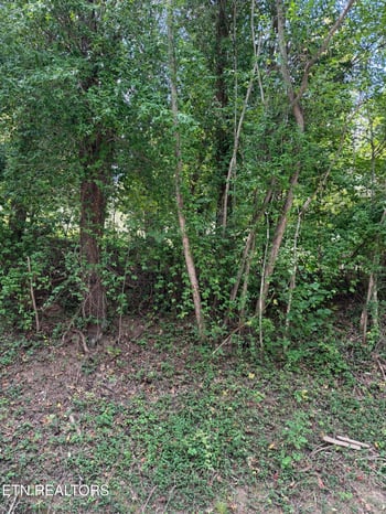 9478 Old Highway 28, Pikeville, TN 37367