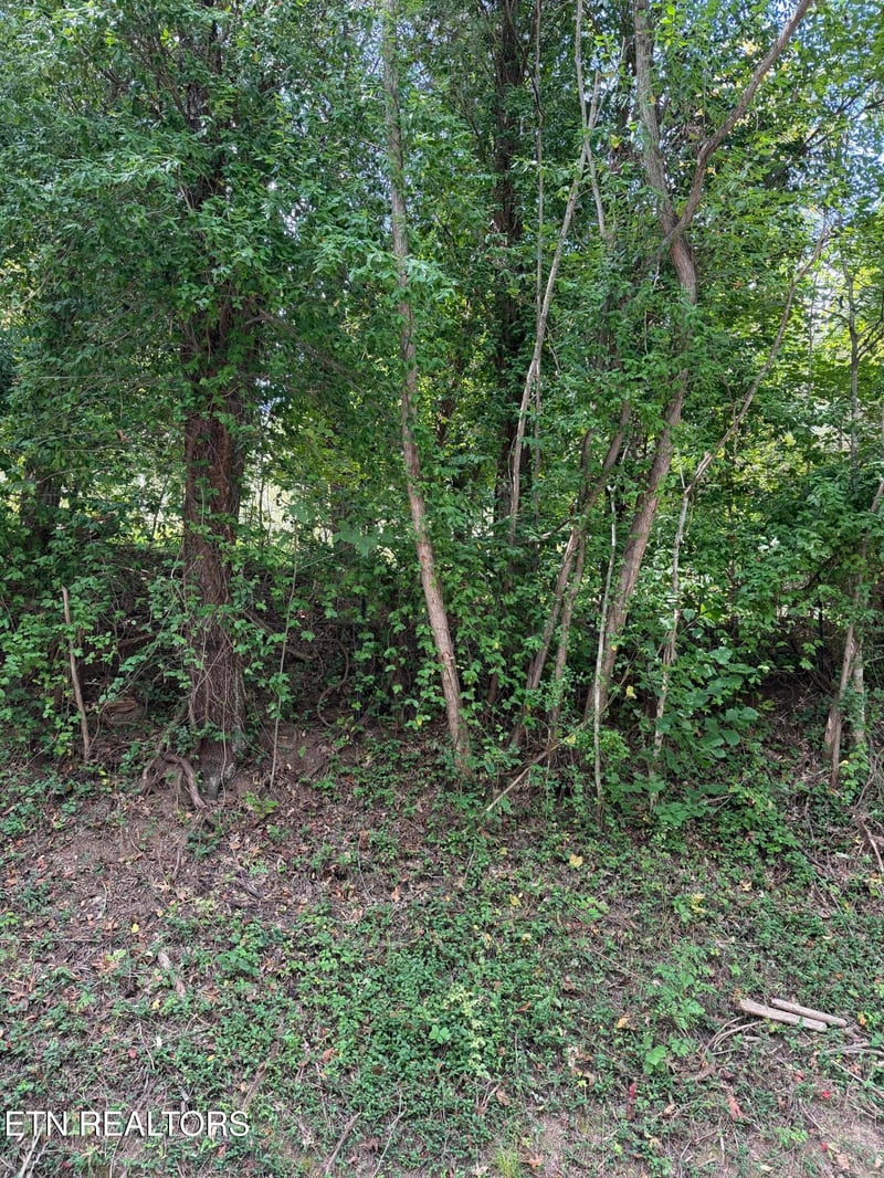 9478 Old Highway 28, Pikeville, TN 37367