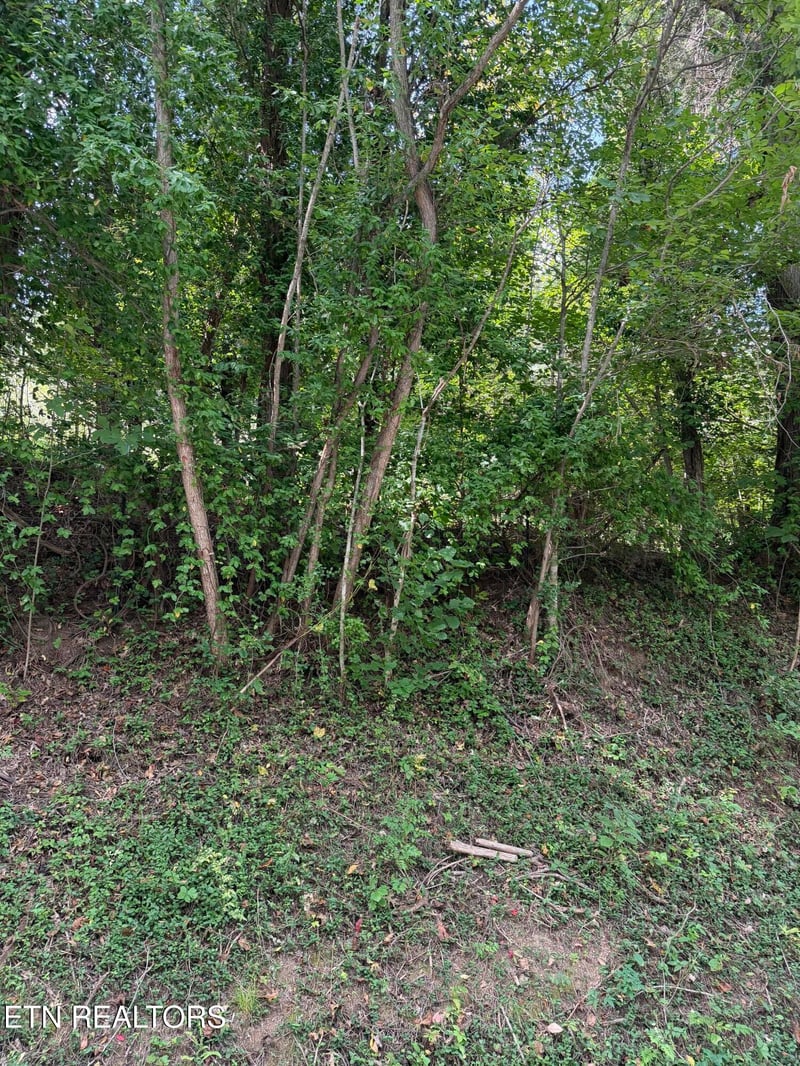 9478 Old Highway 28, Pikeville, TN 37367