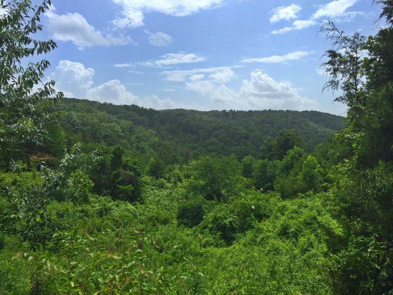 950 Wagon Wheel Ln, Sevierville, TN 37876