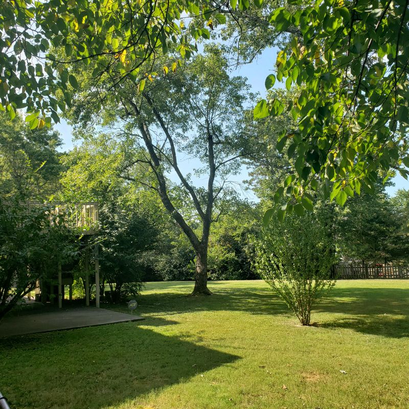 9501 E Lyttleton Ln, Knoxville, TN 37922