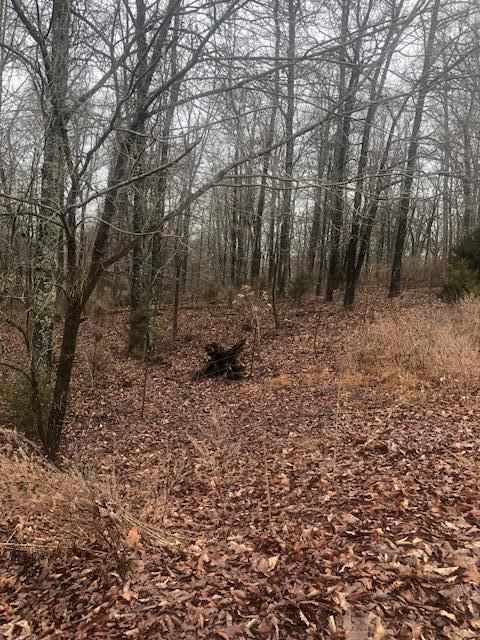 9507 W Emory Rd, Knoxville, TN 37931