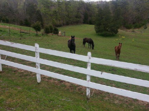 951 Highway 92, Rutledge, TN 37861