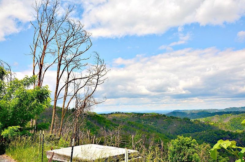 952 Village Loop Rd, Gatlinburg, TN 37738