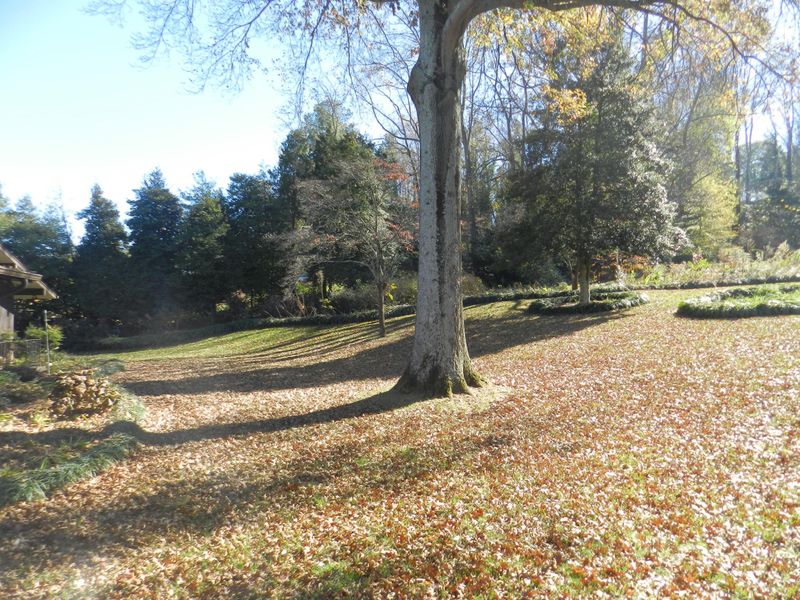 9524 Twelve Trees Ln, Knoxville, TN 37922