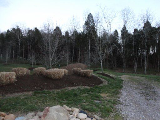 9536 View Point Ln, Knoxville, TN 37922