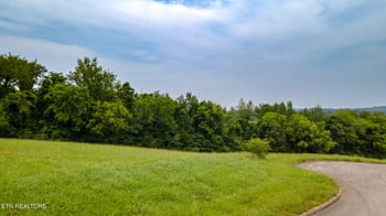 9615 Sybil Lee Ln, Kodak, TN 37764