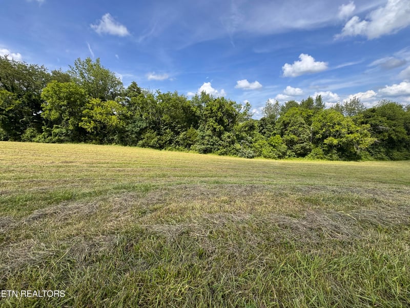 9615 Sybil Lee Ln, Kodak, TN 37764