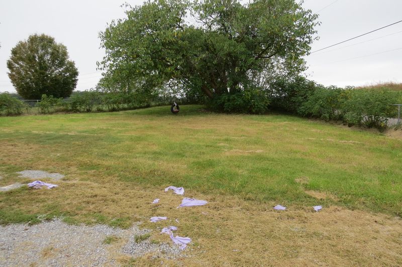 9660 Clift Rd, Strawberry Plains, TN 37871