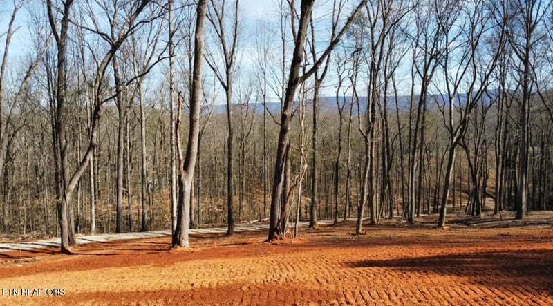 969 County Rd, Delano, TN 37325