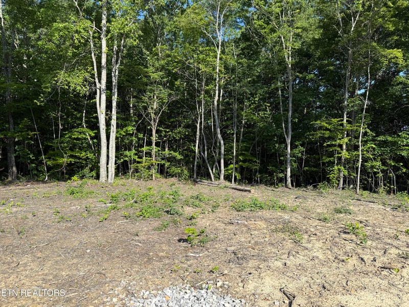 969 Lewallen Rd, Sunbright, TN 37872