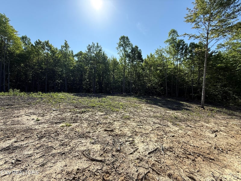969 Lewallen Rd, Sunbright, TN 37872