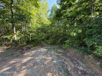 969 Lewallen Rd, Sunbright, TN 37872
