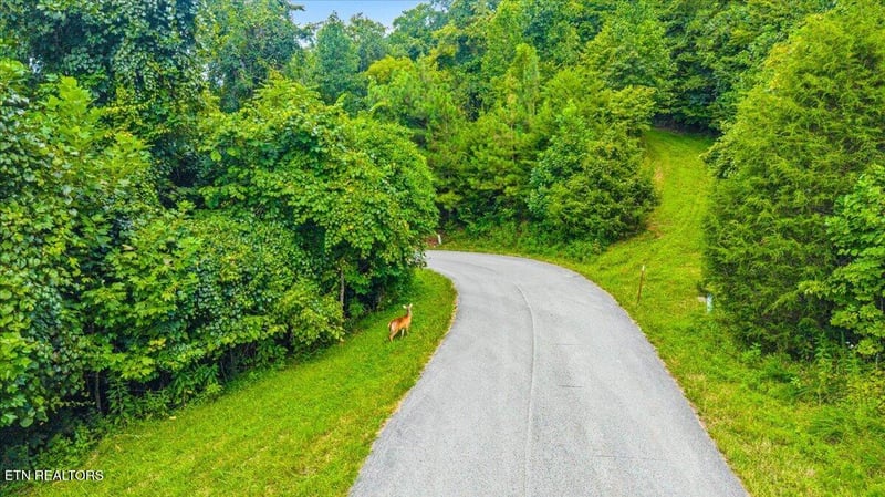 97 Swan Song Tr, Sharps Chapel, TN 37866