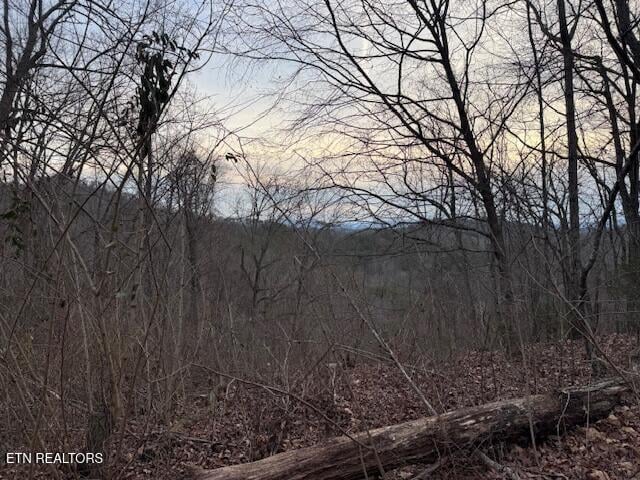 971 Scenic River Rd, Madisonville, TN 37354