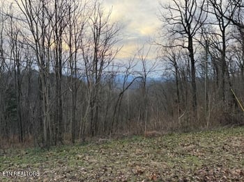 971 Scenic River Rd, Madisonville, TN 37354